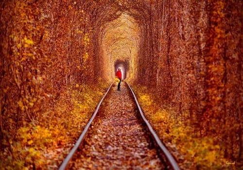 Тунель кохання – фотосесія