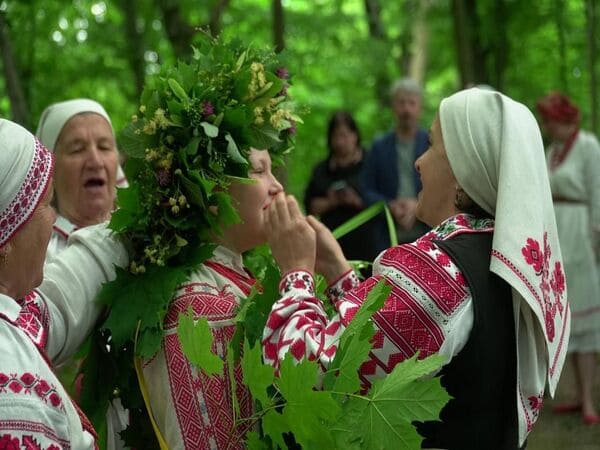 Водіння Куста