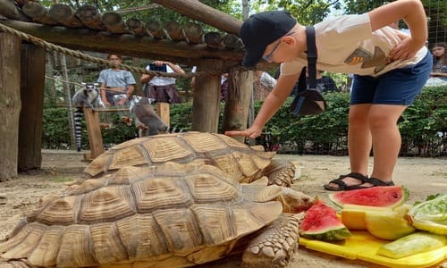 Особливості рівненського зоопарку