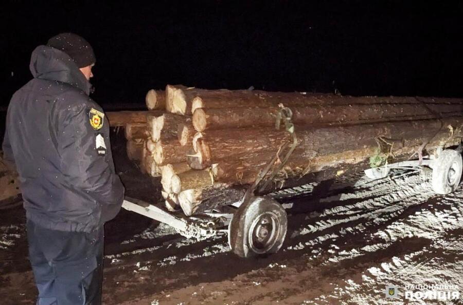 поліцейські затримали крадіїв