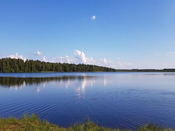 Озеро Лісове