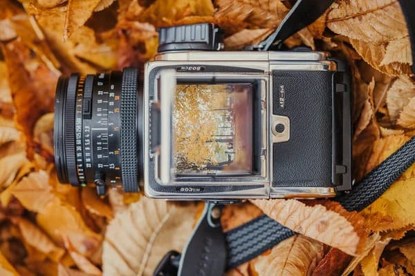 Цікаві місця для фотосесій на Рівненщині